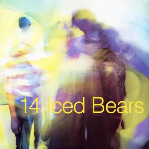 14 Iced Bears - 14 Iced Bears Express Delivery
