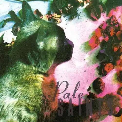 Pale Saints - The Comforts Of Madness Price Drop
