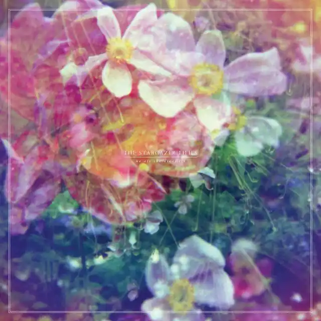 The Stargazer Lilies - We Are The Dreamers Best Seller