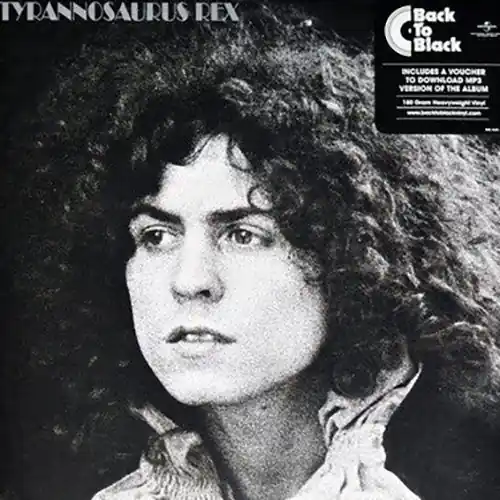 Fan Favorite Tyrannosaurus Rex - A Beard Of Stars