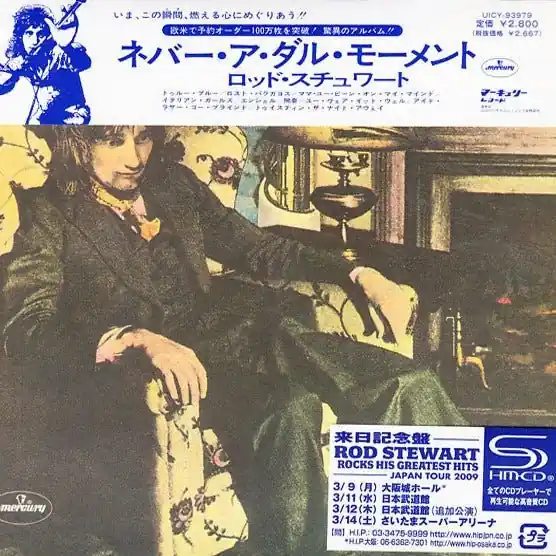Professional Grade Rod Stewart - Never A Dull Moment
