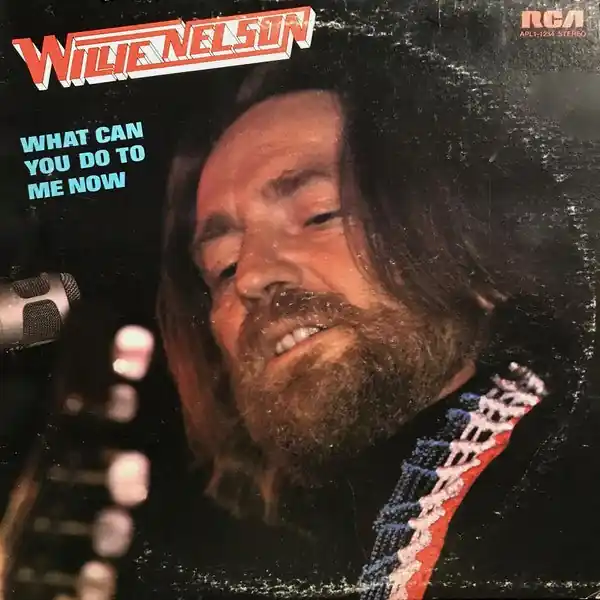 Willie Nelson - What Can You Do To Me Now Cheap
