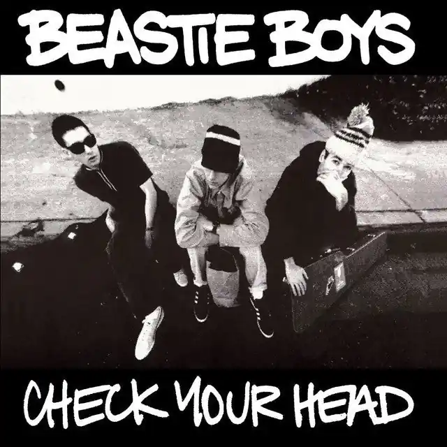 Beastie Boys - Check Your Head Viral