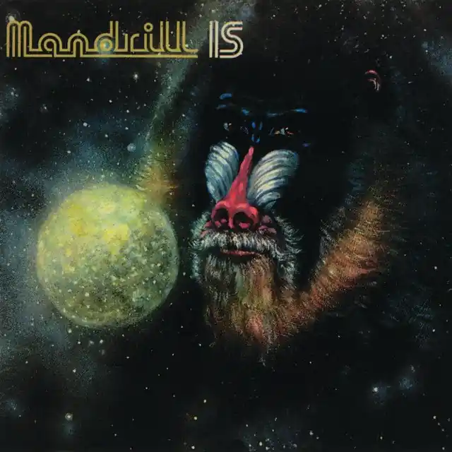 Order Now Mandrill - Mandrill Is