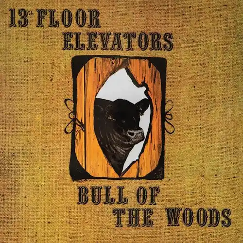13th Floor Elevators - Bull Of The Woods Free Delivery