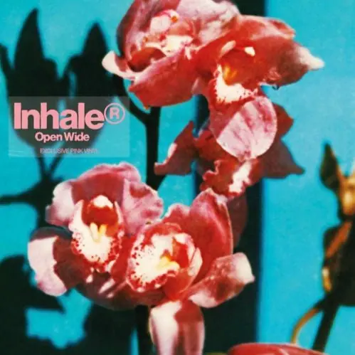 Cheap Inhaler - Open Wide