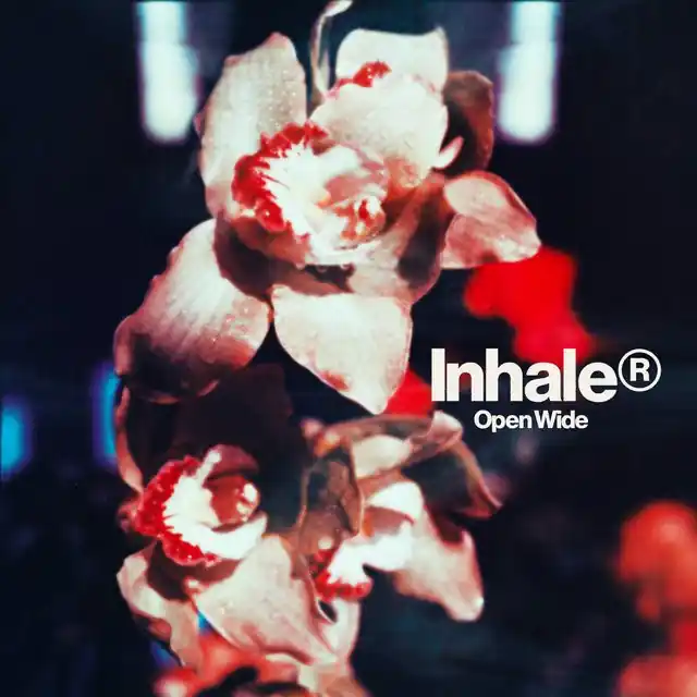 Fan Favorite Inhaler - Open Wide