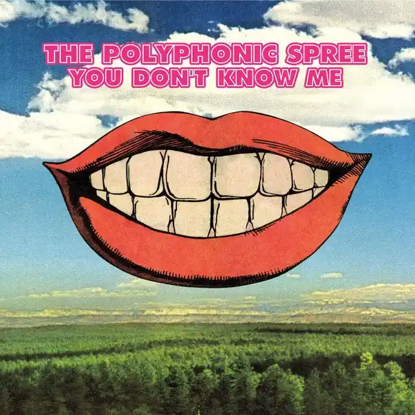 Price Cut The Polyphonic Spree - You Don't Know Me