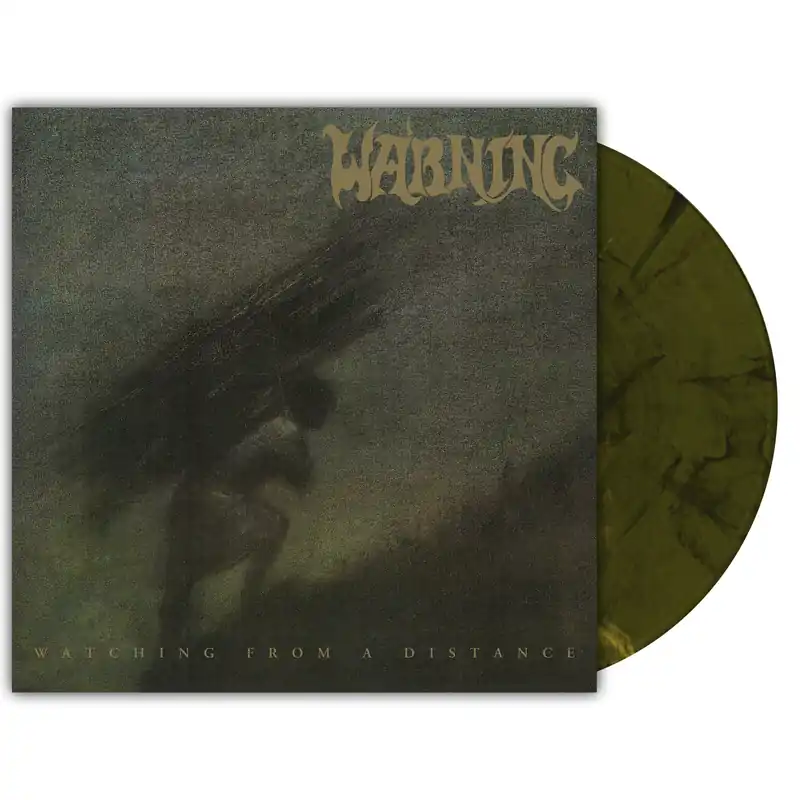 Free Delivery WARNING 'WATCHING FROM A DISTANCE' 2LP (20th Anniversary, Labradorite Marble Vinyl)