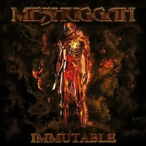 No Minimum Order MESHUGGAH ‘IMMUTABLE' 2LP