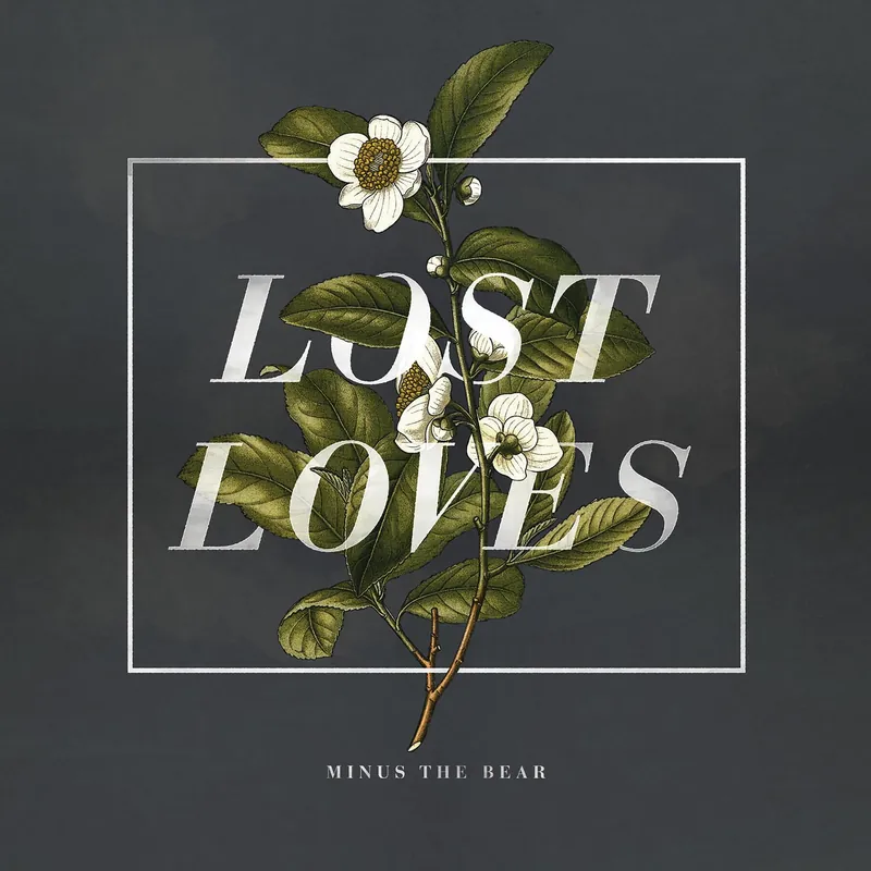 Next Day Delivery MINUS THE BEAR 'LOST LOVES' LP