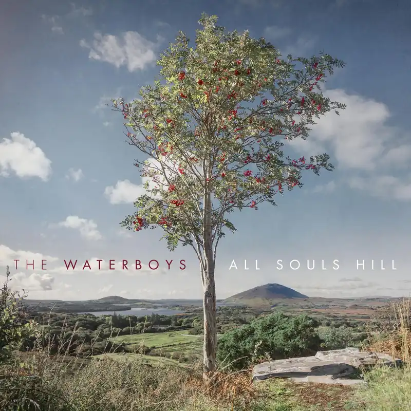 In Demand THE WATERBOYS 'ALL SOULS HILL' LP