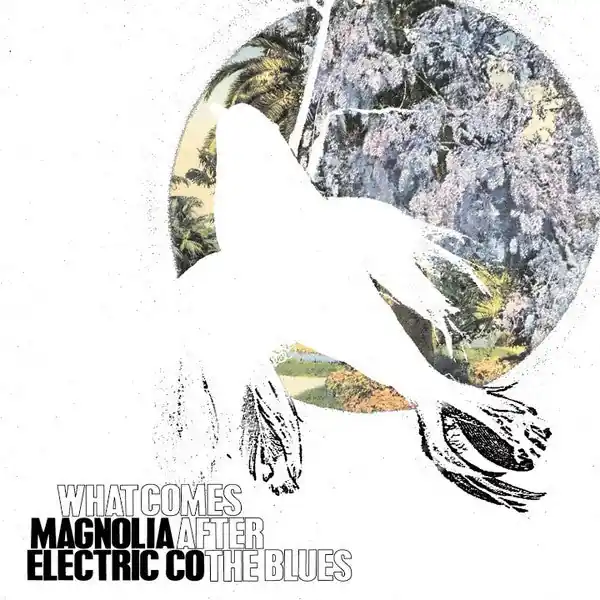 High Quality Magnolia Electric Co. - What Comes After The Blues